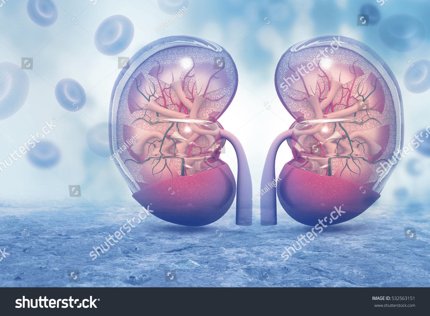 5-977-kidney-transplant-stock-illustrations-images-vectors-shutterstock