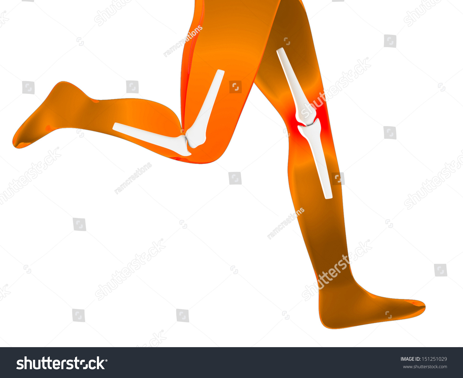Human Knee Detailed View Running Man Stock Illustration 151251029