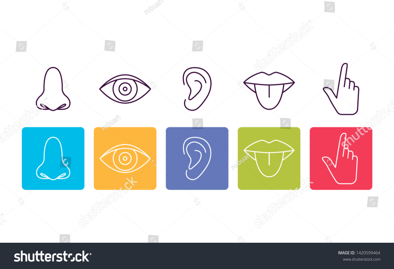 human-senses-info-poster-body-parts-1420599464-shutterstock