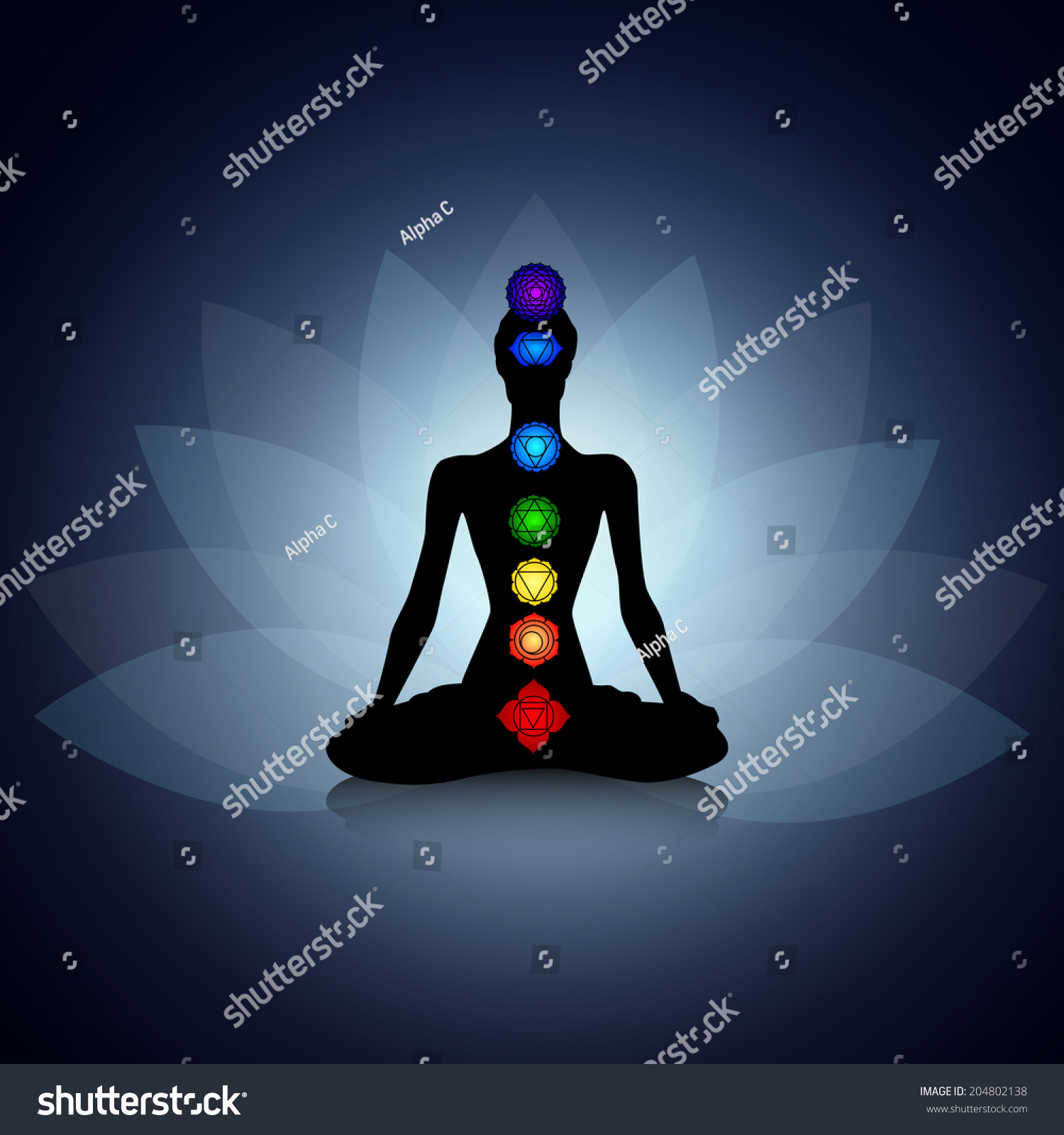 Human Silhouette In Yoga Pose With Chakras Stock Photo 204802138 ...