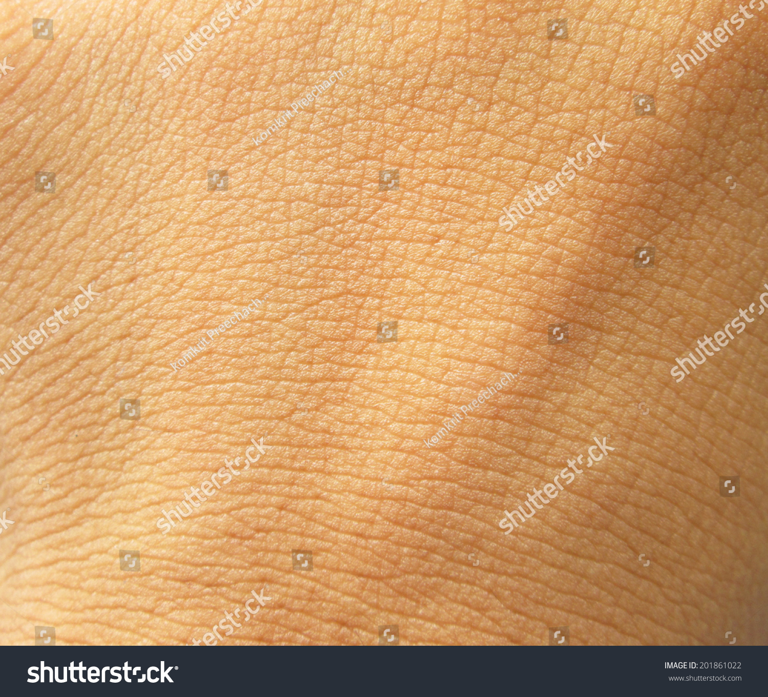 Human Skin Texture Stock Photo 201861022 - Shutterstock