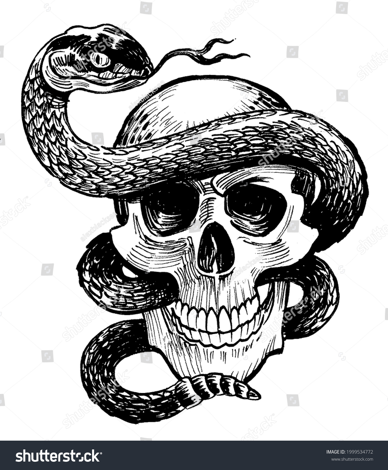 Human Skull Rattlesnake Ink Black White Stock Illustration 1999534772 ...