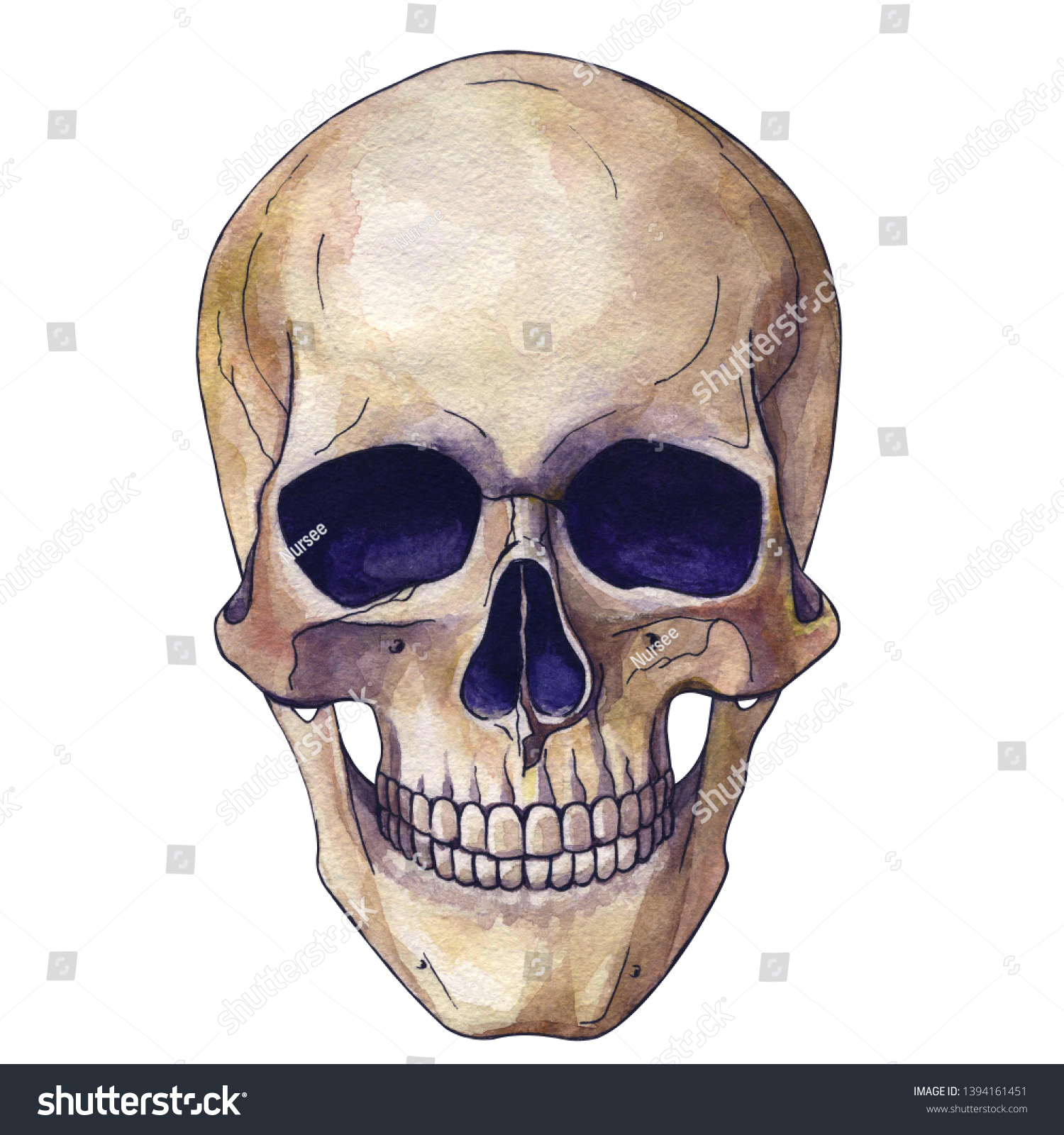 Human Skull Face Painted Watercolor Anatomical Stock Illustration 1394161451