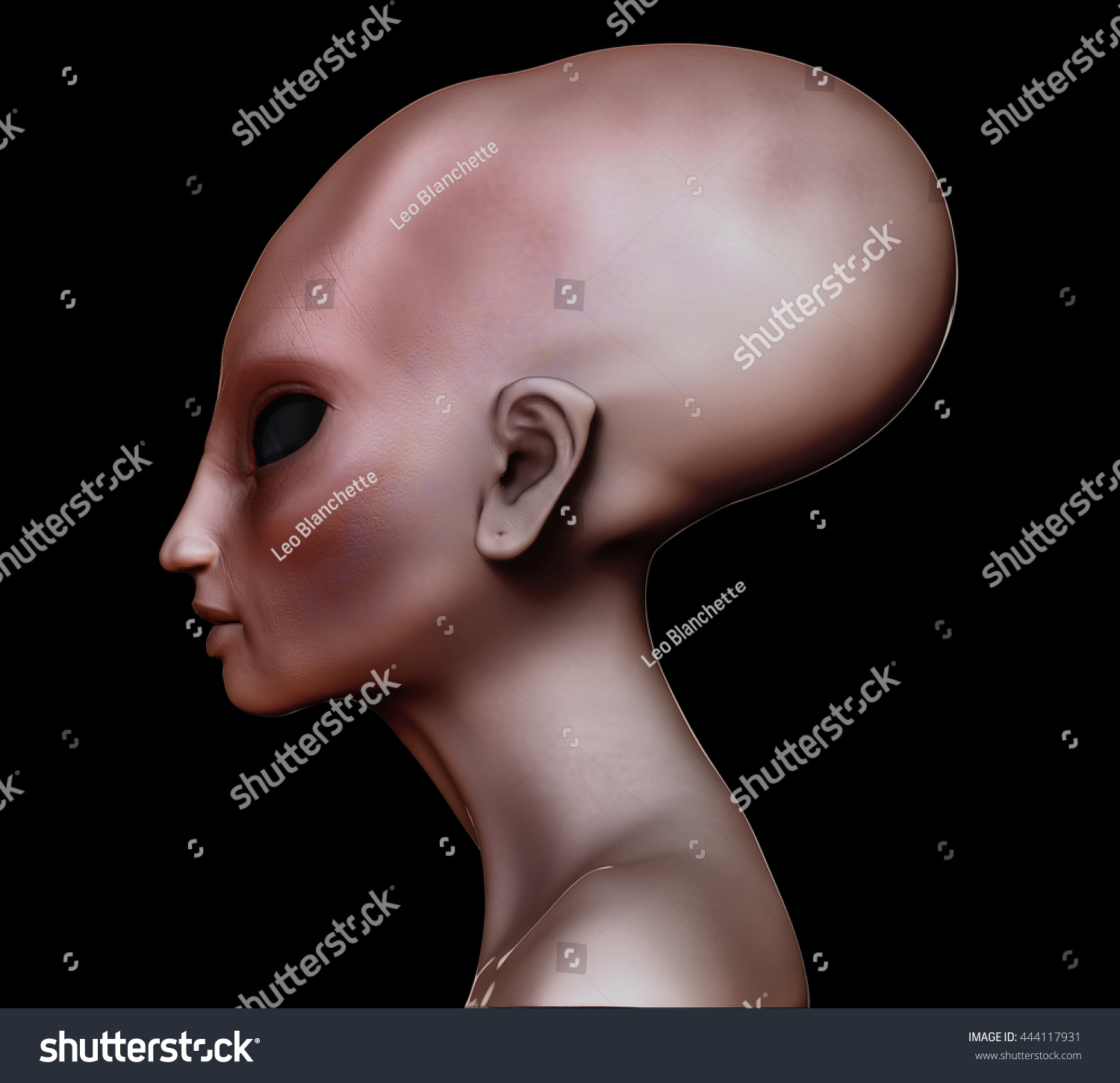 Hybrid Alien Woman Elongated Head Skull Stock Illustration 444117931 Shutterstock 