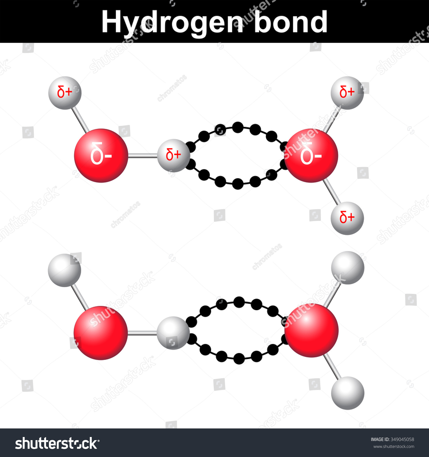 Hydrogen Bond Chemical Illustration Ionic Interaction Stock ...