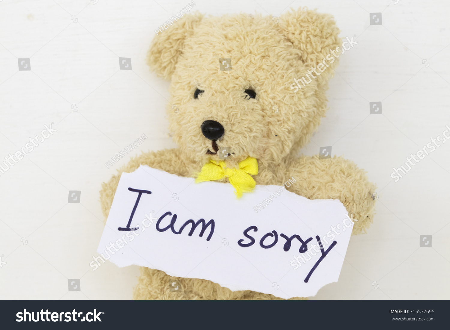 teddy bear with sorry message