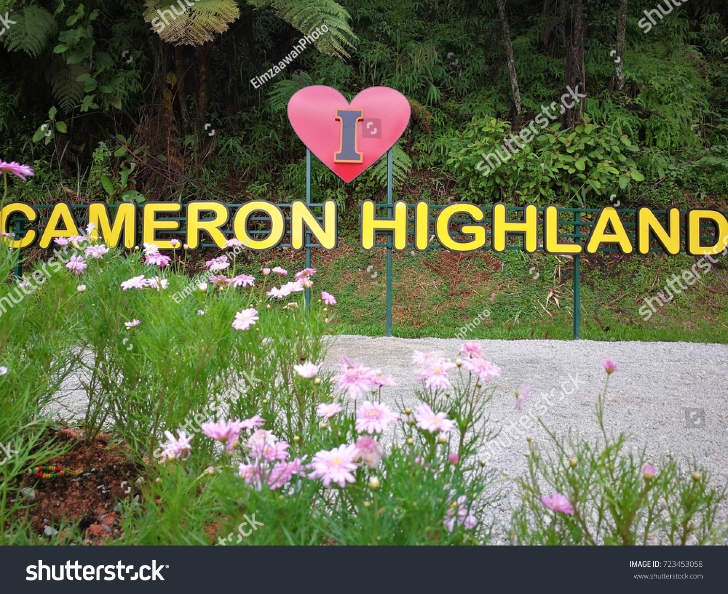 Cameron highland