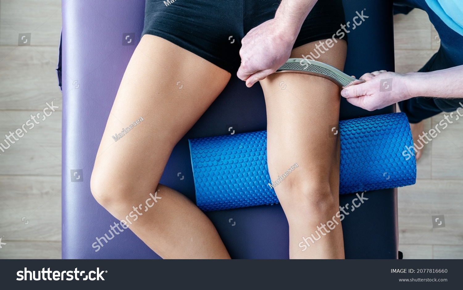 11 Imagens De Quadriceps Femoral Muscle Imagens Fotos Stock E Vetores