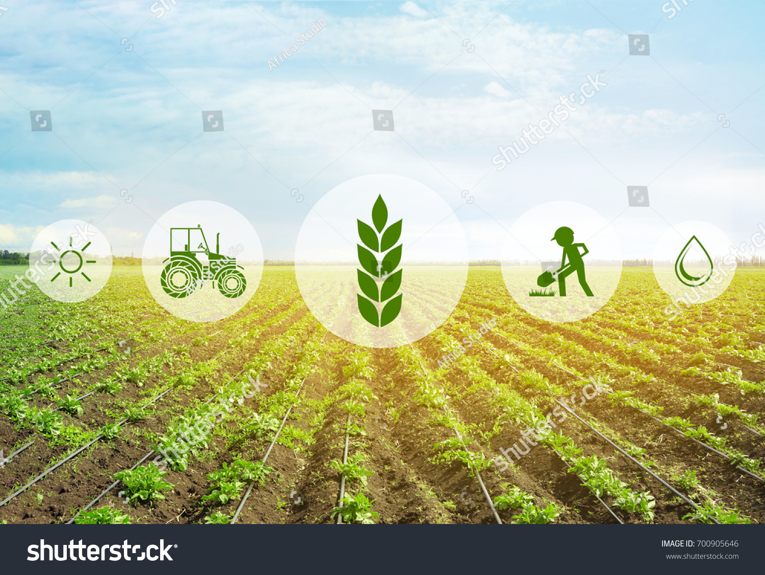 PowerPoint Template: background concept of smart agriculture (ohhuhmnln)