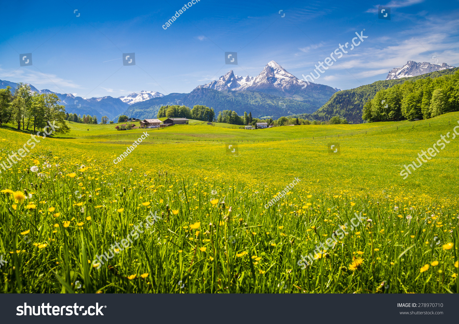 Idyllic Landscape Alps Fresh Green Meadows Stock Photo Edit Now 278970710