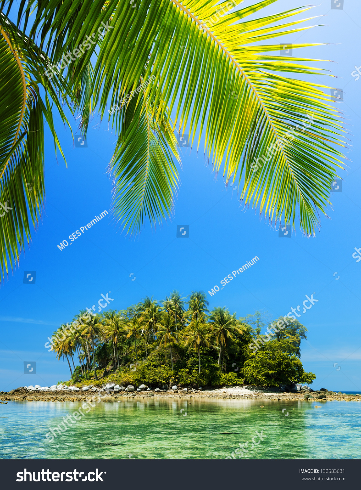 Idyllic Tropical Island In Sunny Day Stock Photo 132583631 : Shutterstock