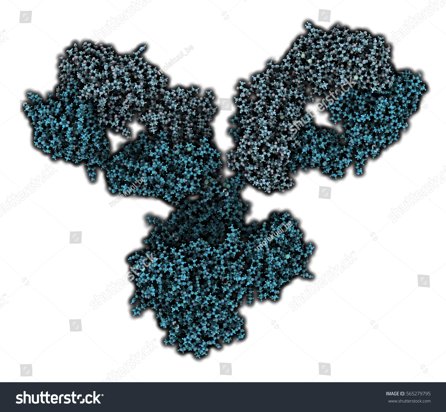 Igg1 Monoclonal Antibody Immunoglobulin 3d Rendering Stock Illustration 565279795 Shutterstock 9495