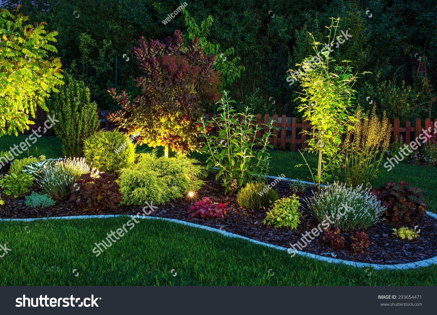 Illuminated Garden By Led Lighting. Backyard Garden At Night Closeup ...