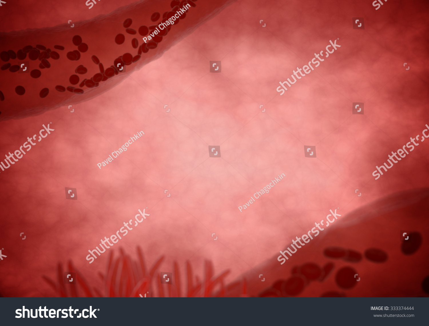 Illustration Insides Body Veins Blood 3d Stock Illustration 333374444