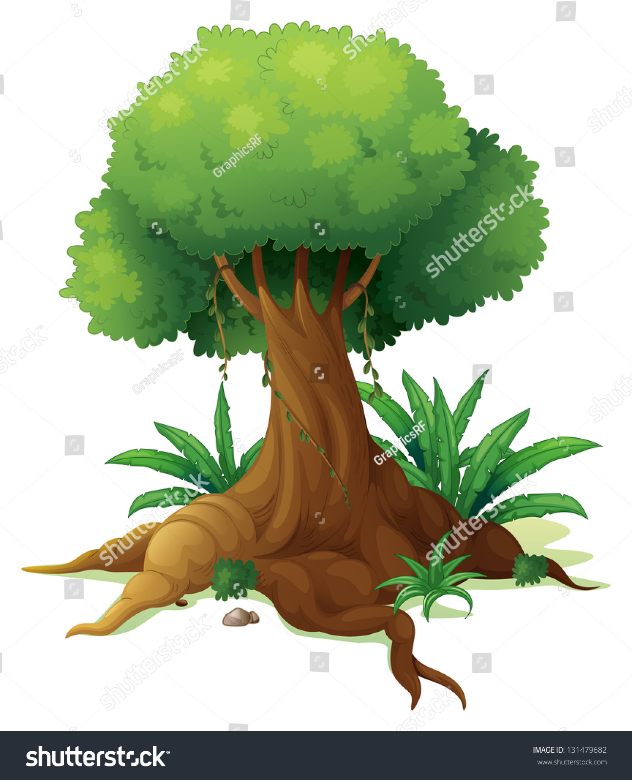 Illustration Of A Big Tree On A White Background - 131479682 : Shutterstock