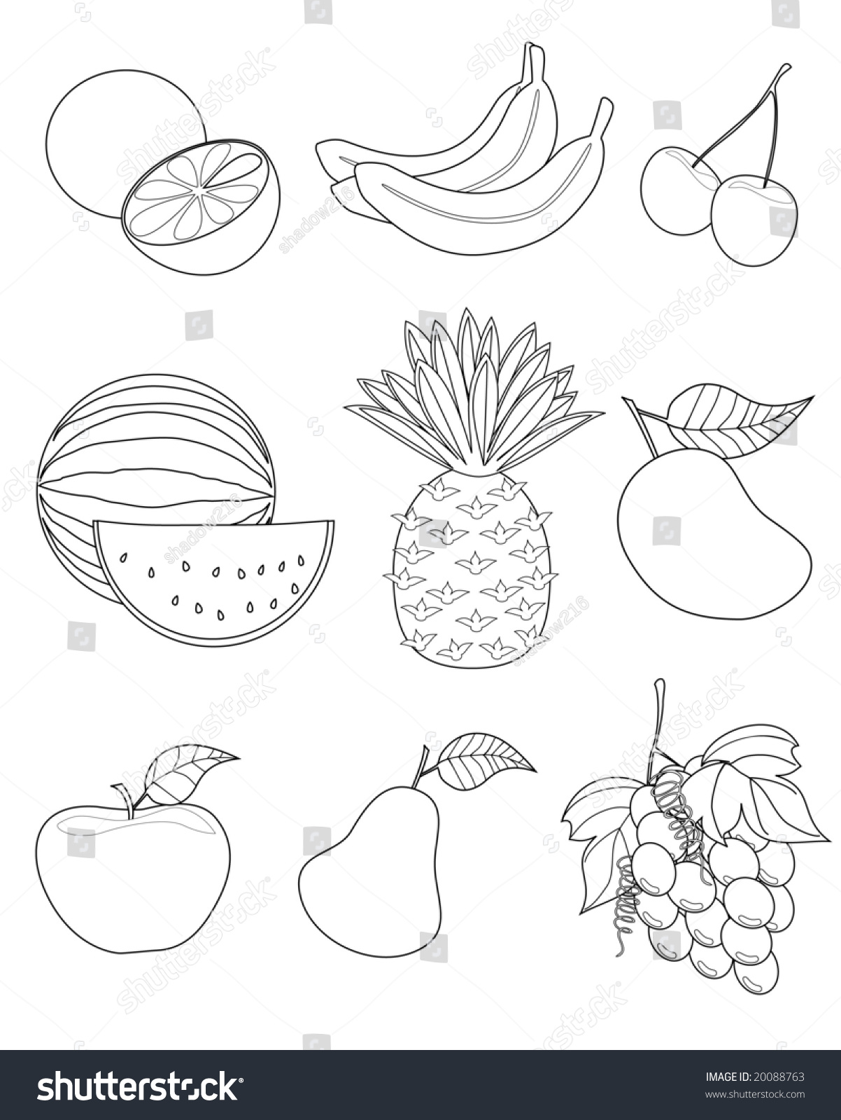 Illustration Of Assorted Fruit Outlines - 20088763 : Shutterstock