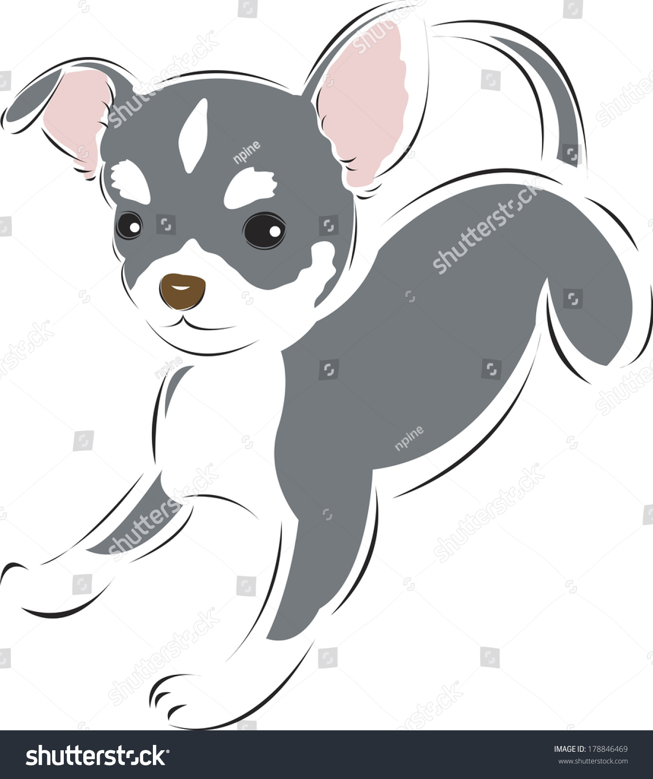 Illustration Of Chihuahua - 178846469 : Shutterstock