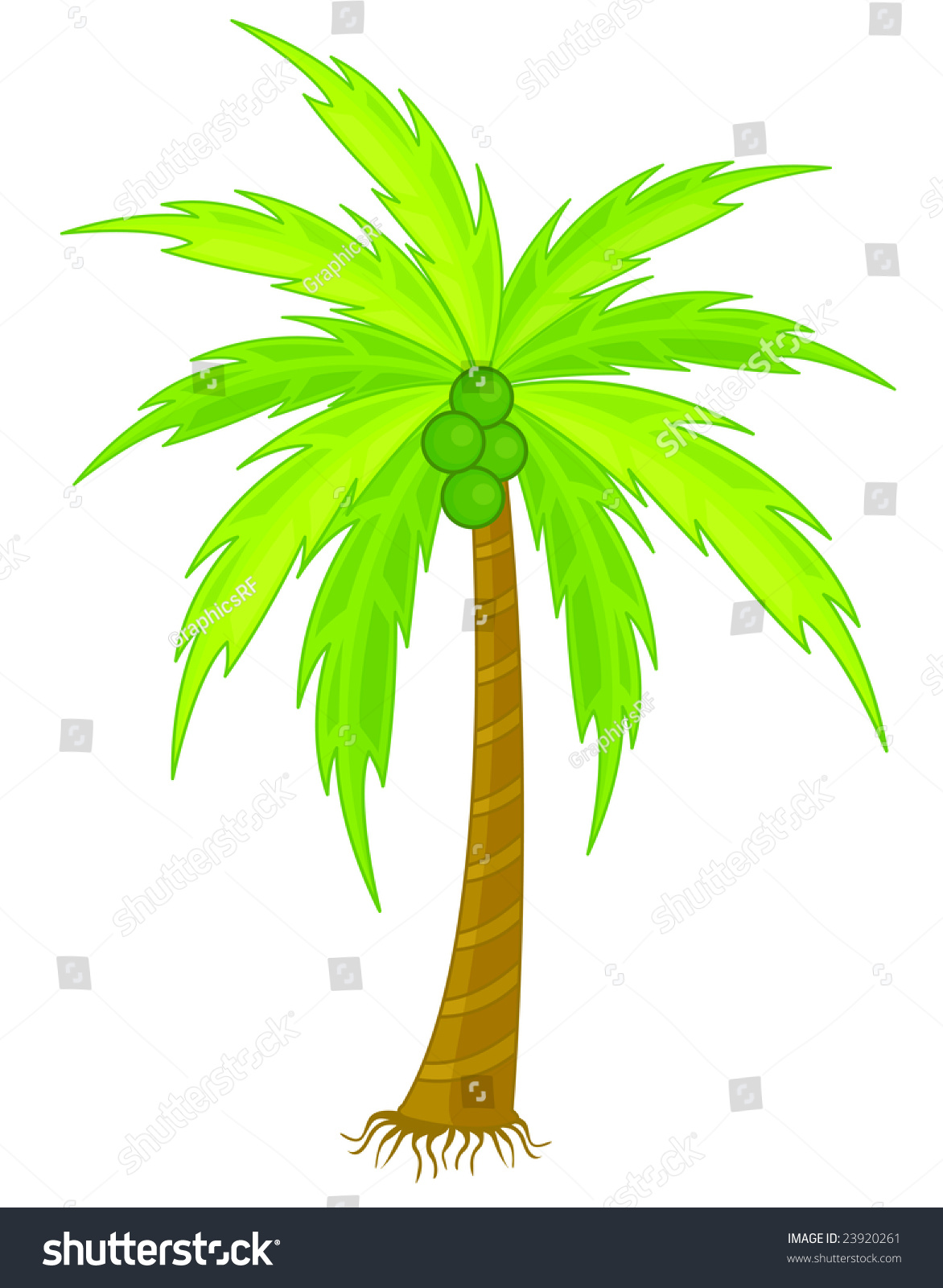 Illustration Of Coconut Tree With Fruit - 23920261 : Shutterstock