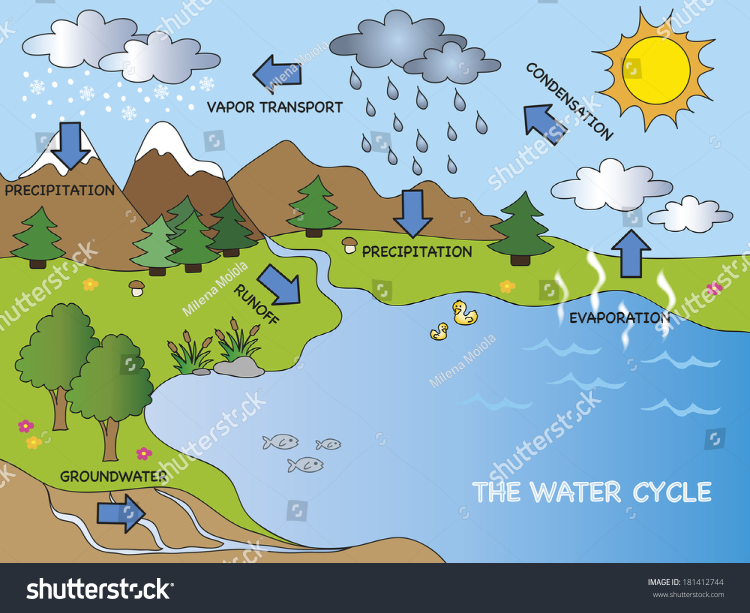 Illustration Of Funny Water Cycle - 181412744 : Shutterstock