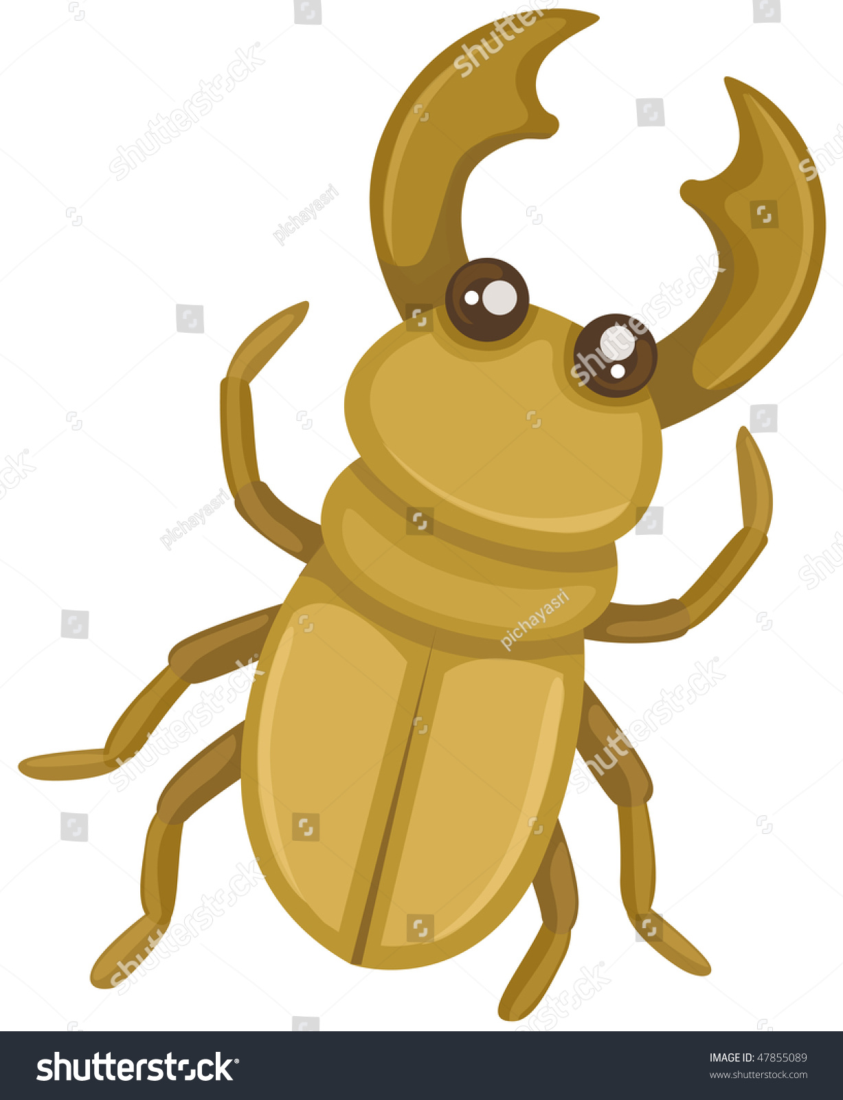 Illustration Isolated Cartoon Beetle On White Stock Illustration ...