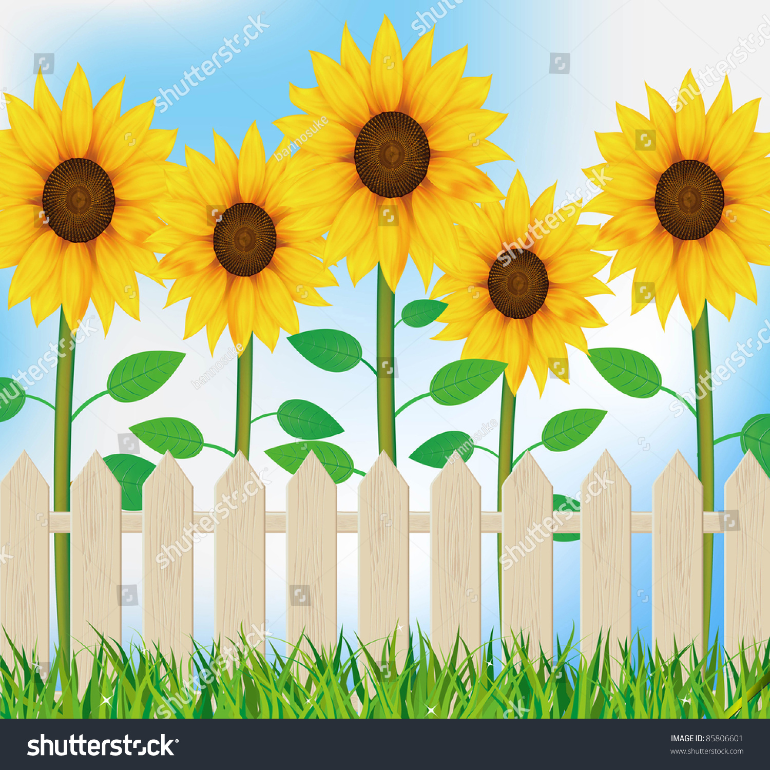 Illustration Sunflower Garden Fence Stock Illustration ...