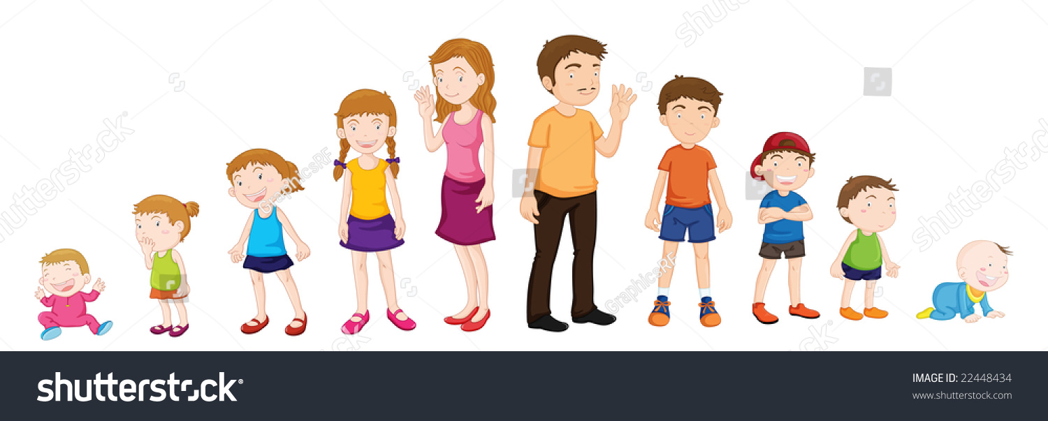 Illustration Of Various Stages Of Development - 22448434 : Shutterstock