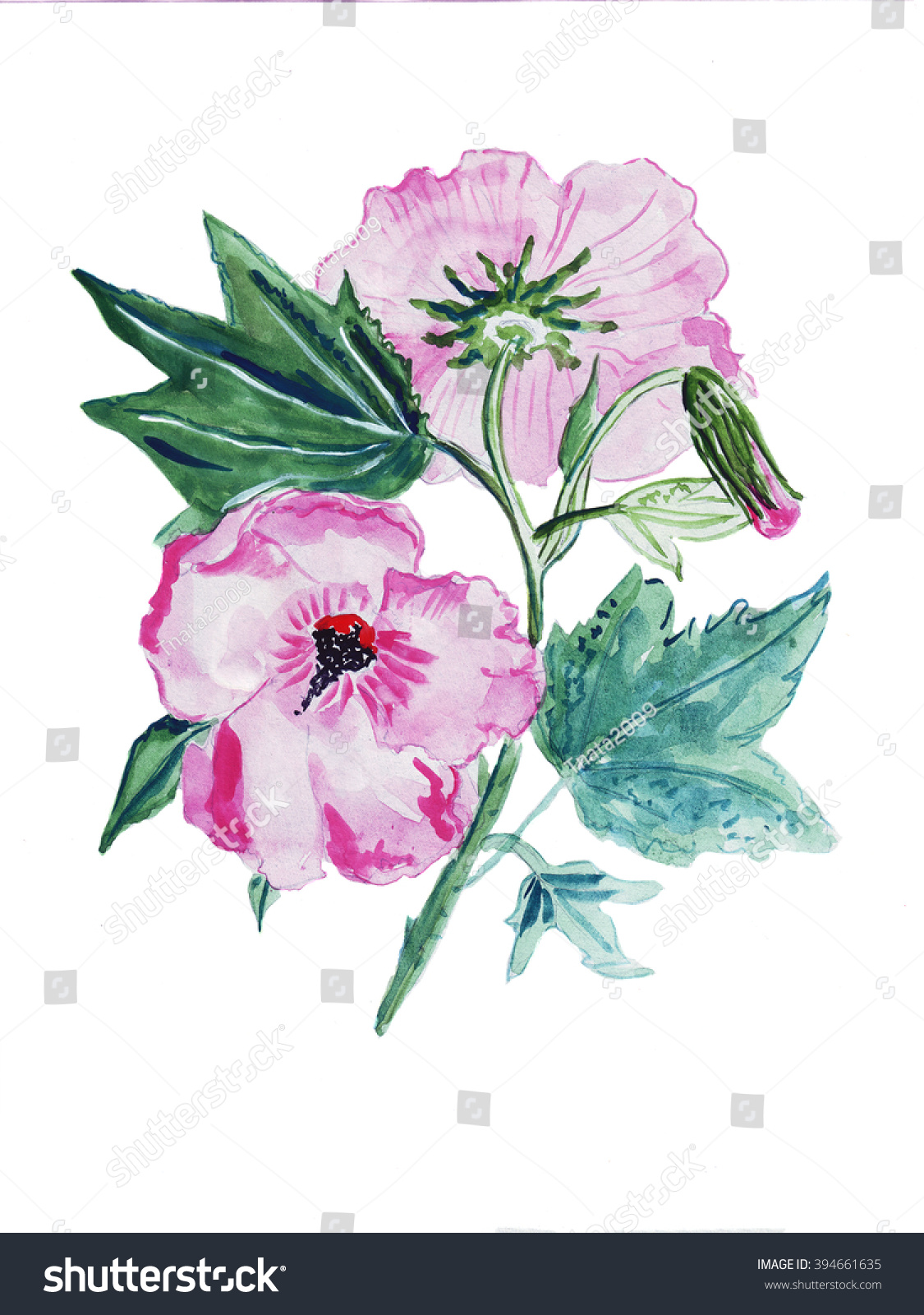 Illustration Sketch Several Begonia Flowers In A Bouquet On A White ...