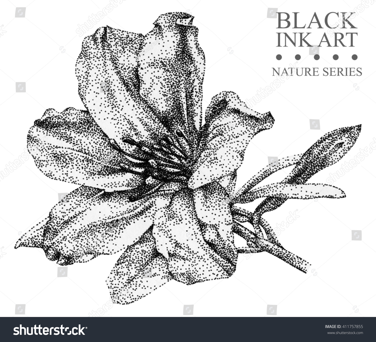 手描きの黒い墨で アザレアと花のイラスト 図 点描画法 デザイン用花柄エレメント のイラスト素材