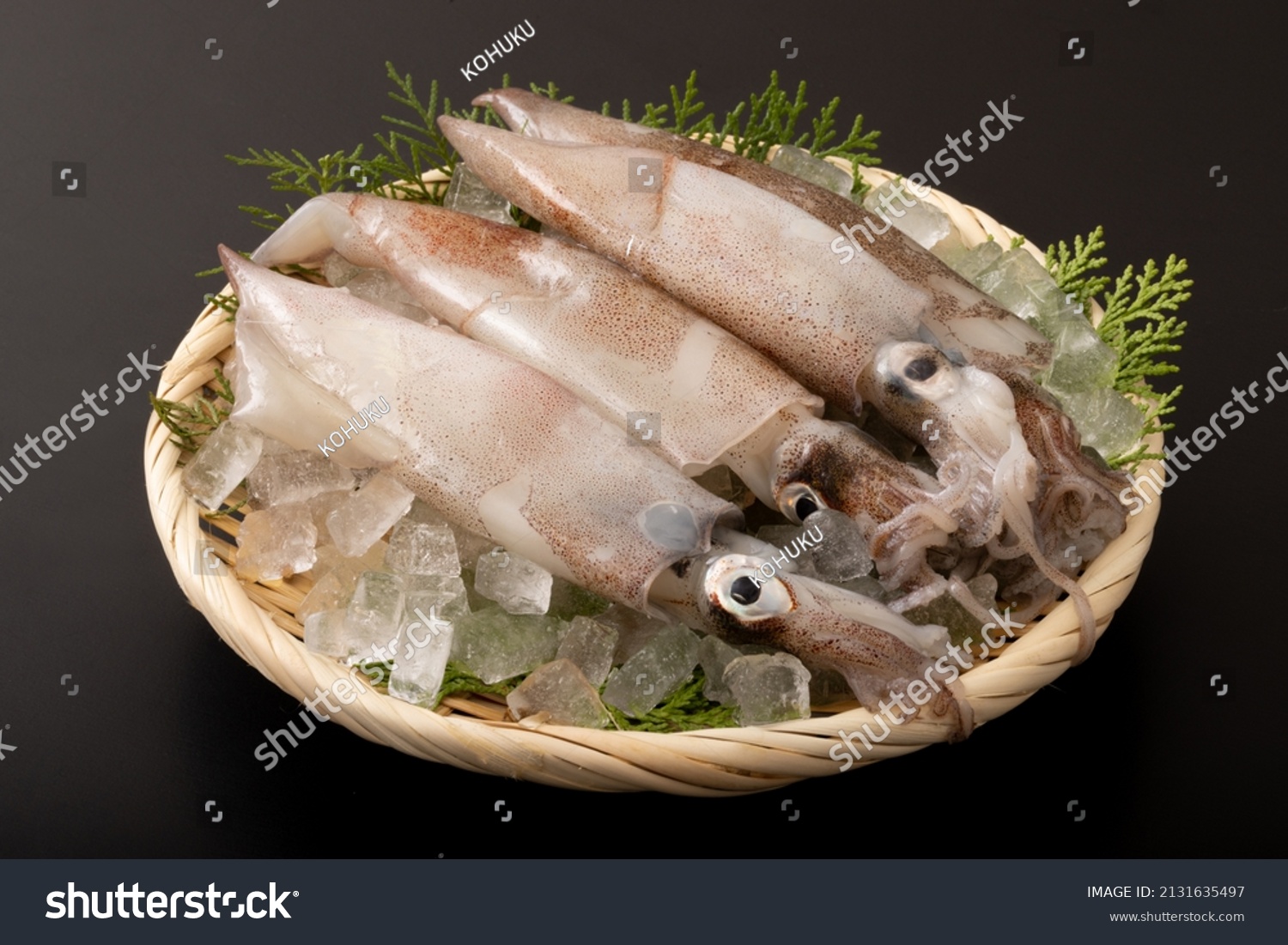 Image Shot Japanese Flying Squid Stock Photo 2131635497 | Shutterstock