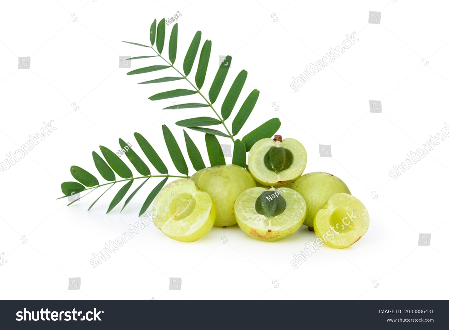 Indian Gooseberry Fruits Amla Phyllanthus Emblica Stock Photo (Edit Now ...