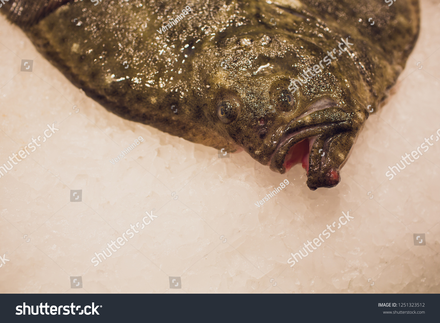 Indian Halibut Fish On Ice Supermarket Stock Photo 1251323512 ...