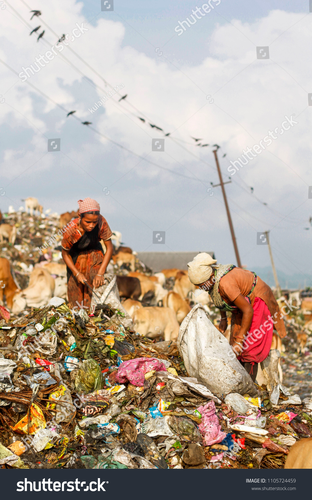 Indian Rag Picker Woman Looks Recyclable Stock Photo 1105724459 ...