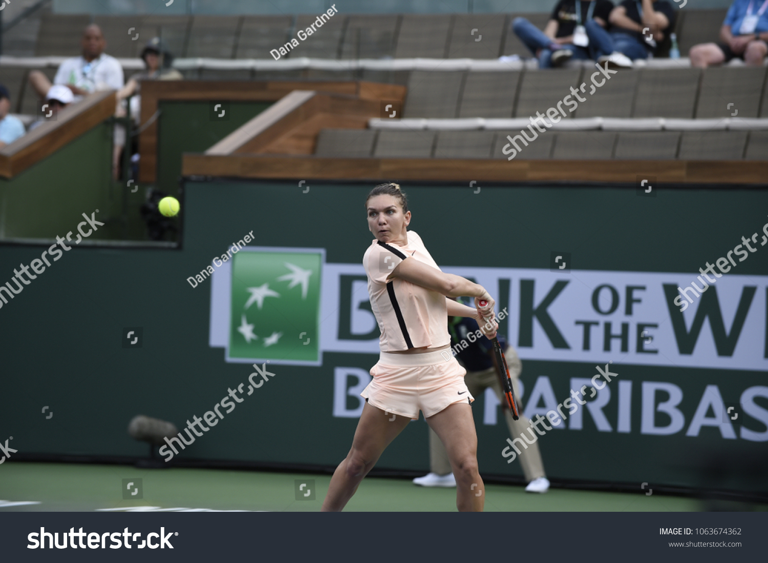 simona halep world Senior