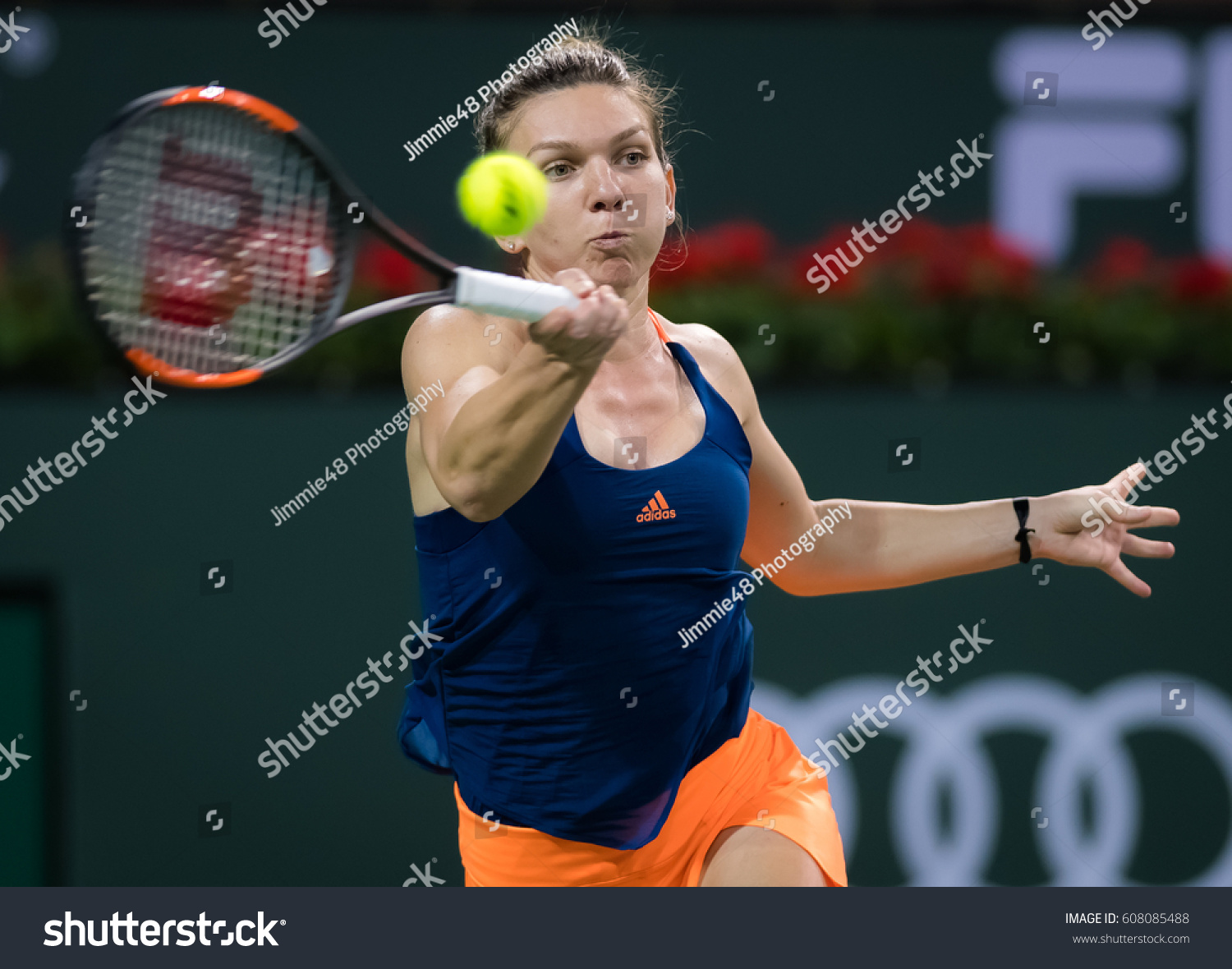 simona halep world Senior