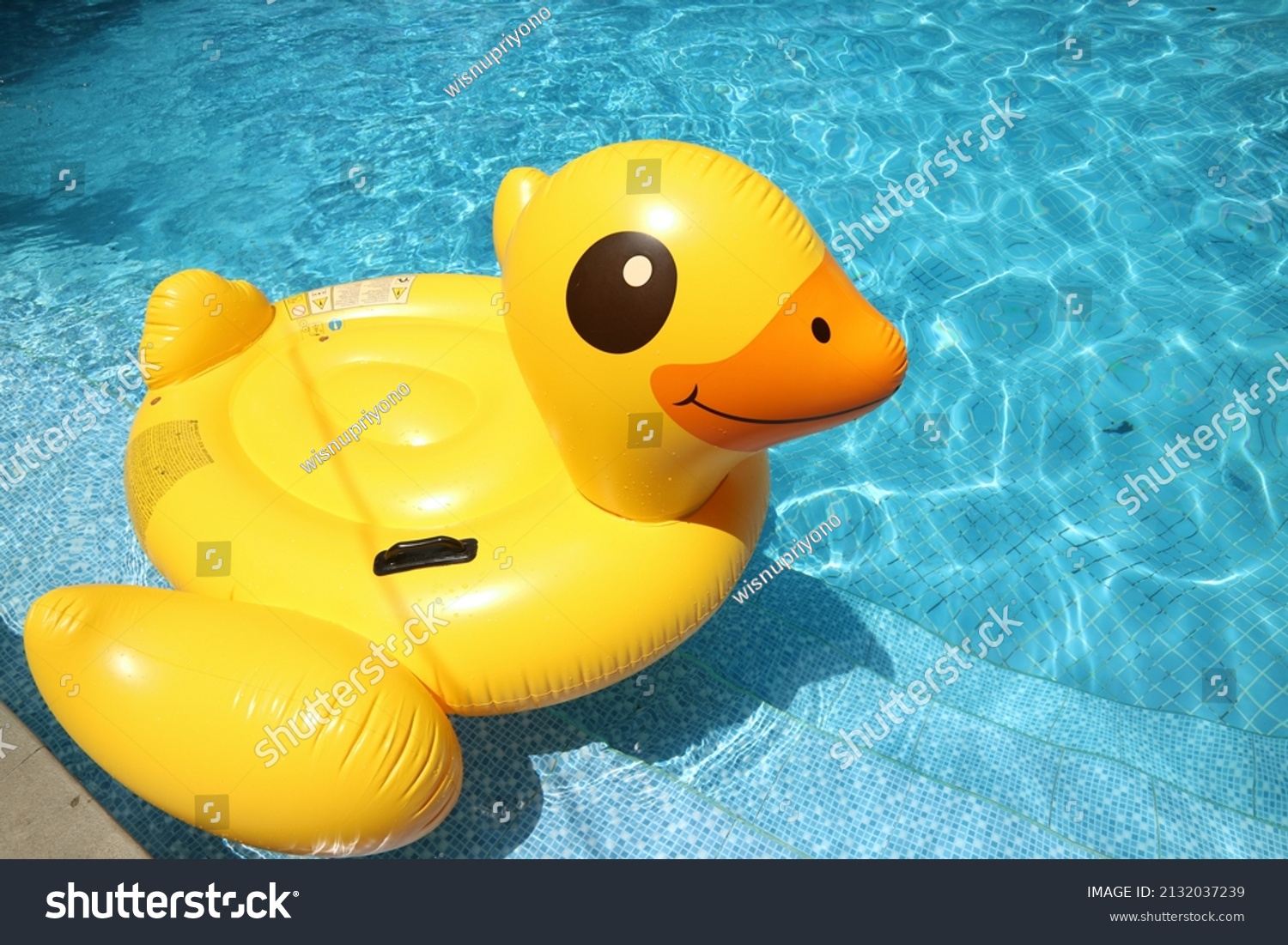 Inflated Yellow Swan Balloon Swimming Pool Stock Photo 2132037239 ...