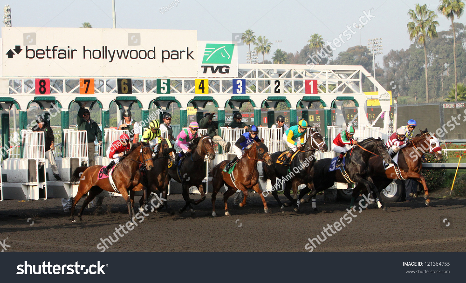 HOLLYWOOD PARK PARK RACE TRACK 8X10 PHOTO HORSE RACING PICTURE CALIFORNIA 