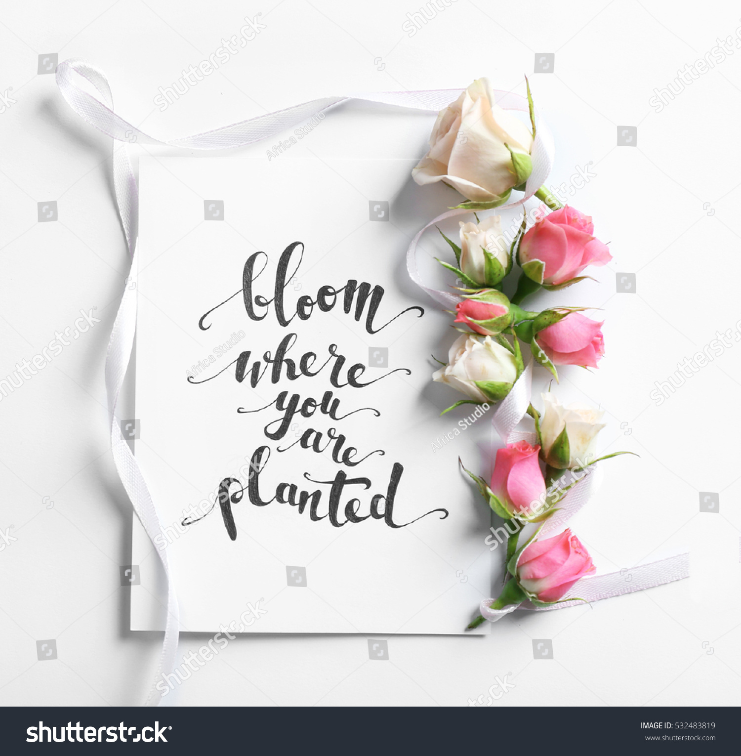 3,363 Rose quotes Stock Photos, Images & Photography | Shutterstock