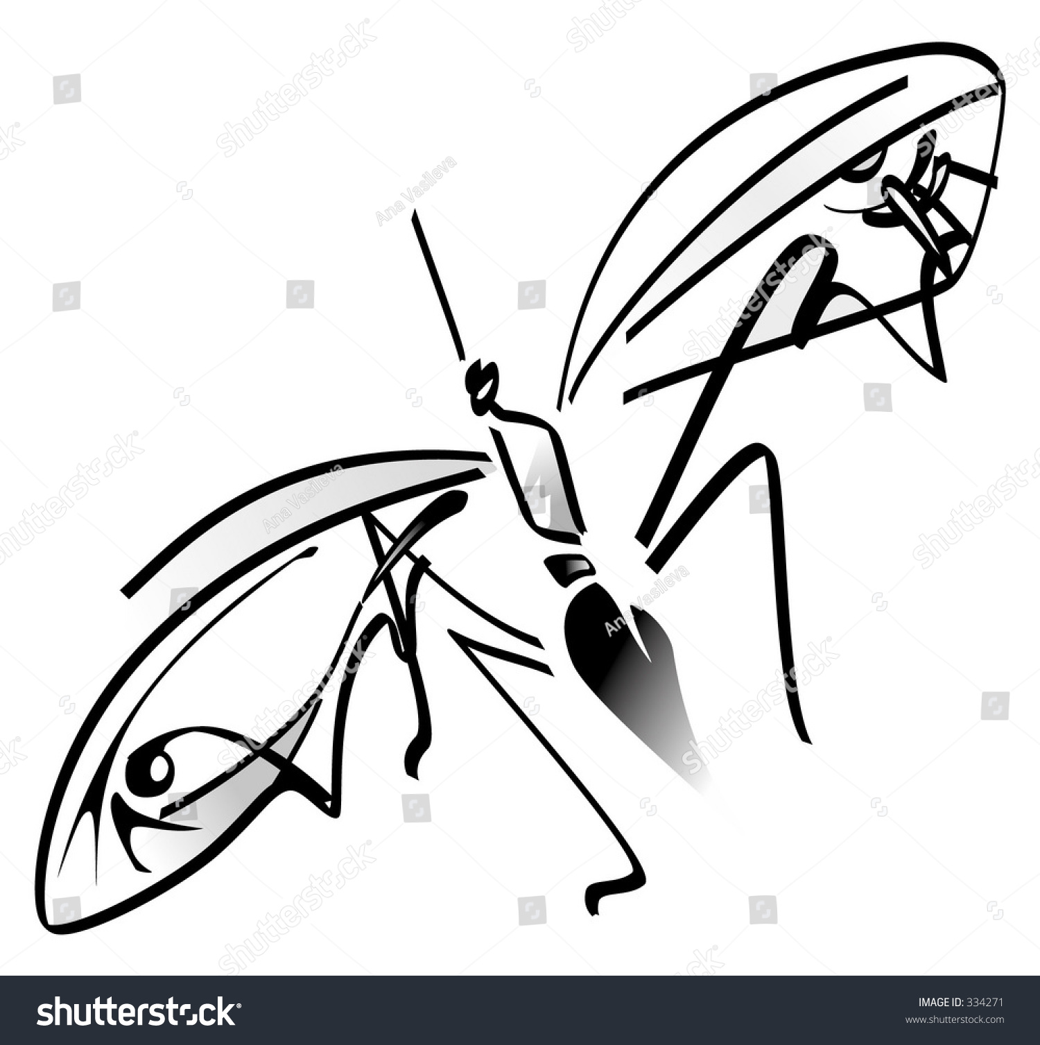 Insect - Black And White Illustration - 334271 : Shutterstock