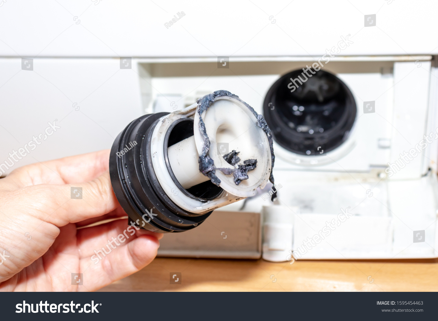 Inspecting Washing Machines Dirty Clogged Drain Stock Photo 1595454463 