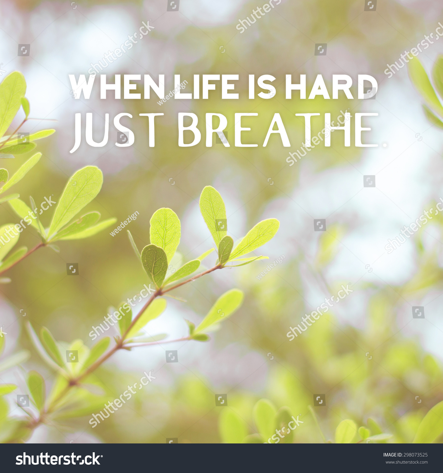 Inspiration quote " When life is hard just breathe" on vintage filter green