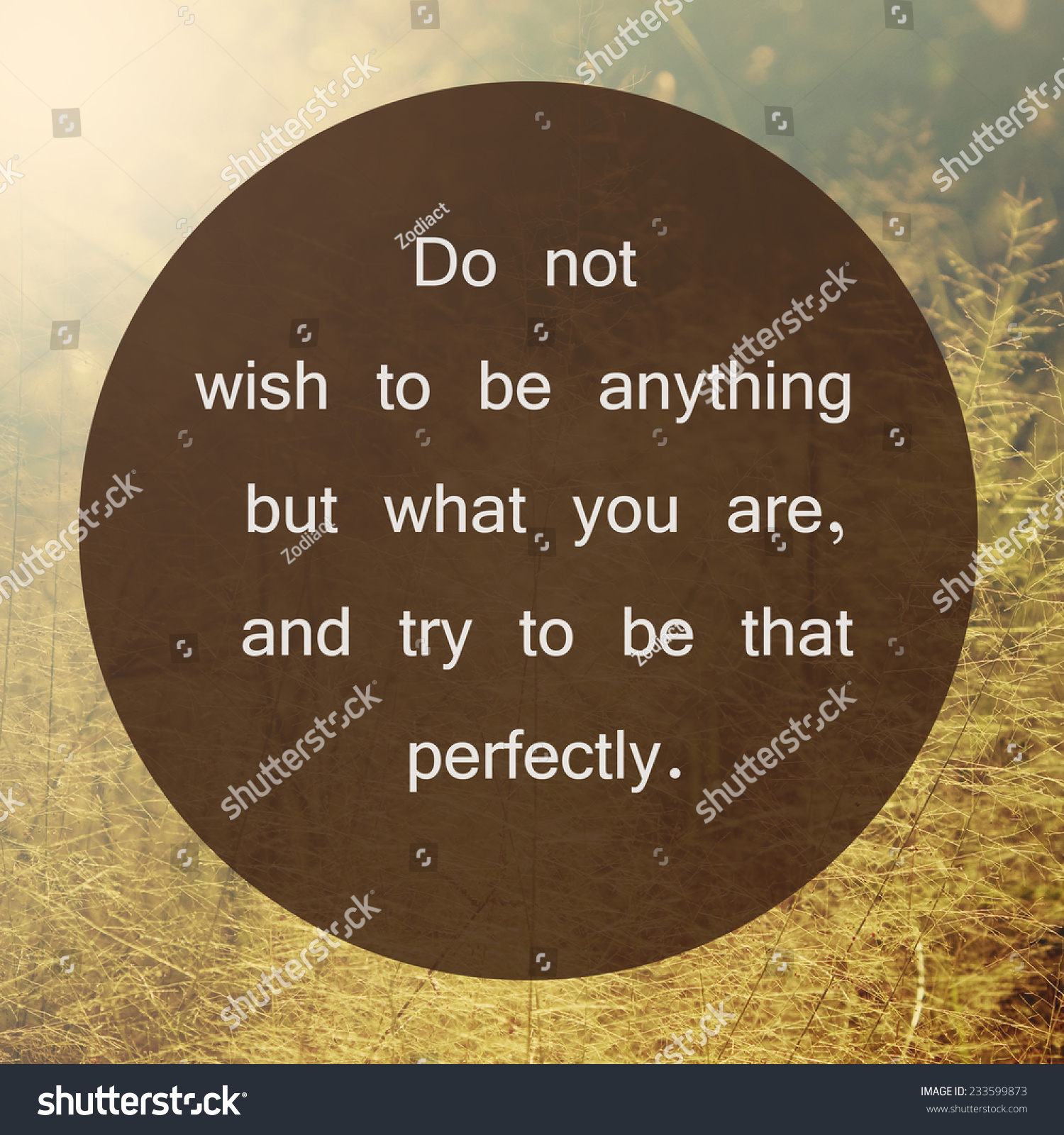 Inspirational Quote About Friendship Prepossessing Inspirational Motivational Quote On Nature Background Stock Inspirational Quote About Friendship Extraordinary Inspirational Motivational Quote On Nature Background Stock