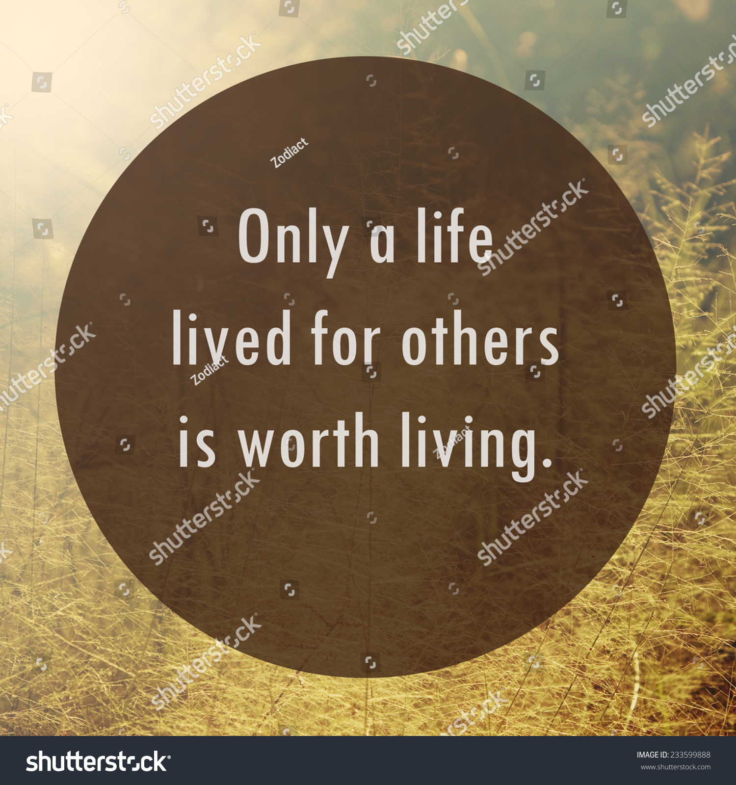 Quotes About Life And Friendship Inspirational Awesome Inspirational Motivational Quote On Nature Background Stock Quotes About Life And Friendship Inspirational Endearing Inspirational Motivational Quote On Nature Background Stock