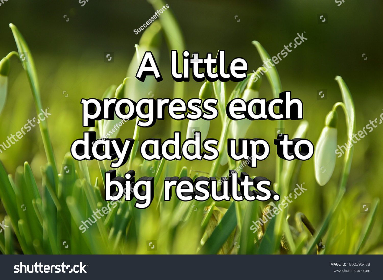 Inspirational Quote Little Progress Each Day Stock Photo (Edit Now ...