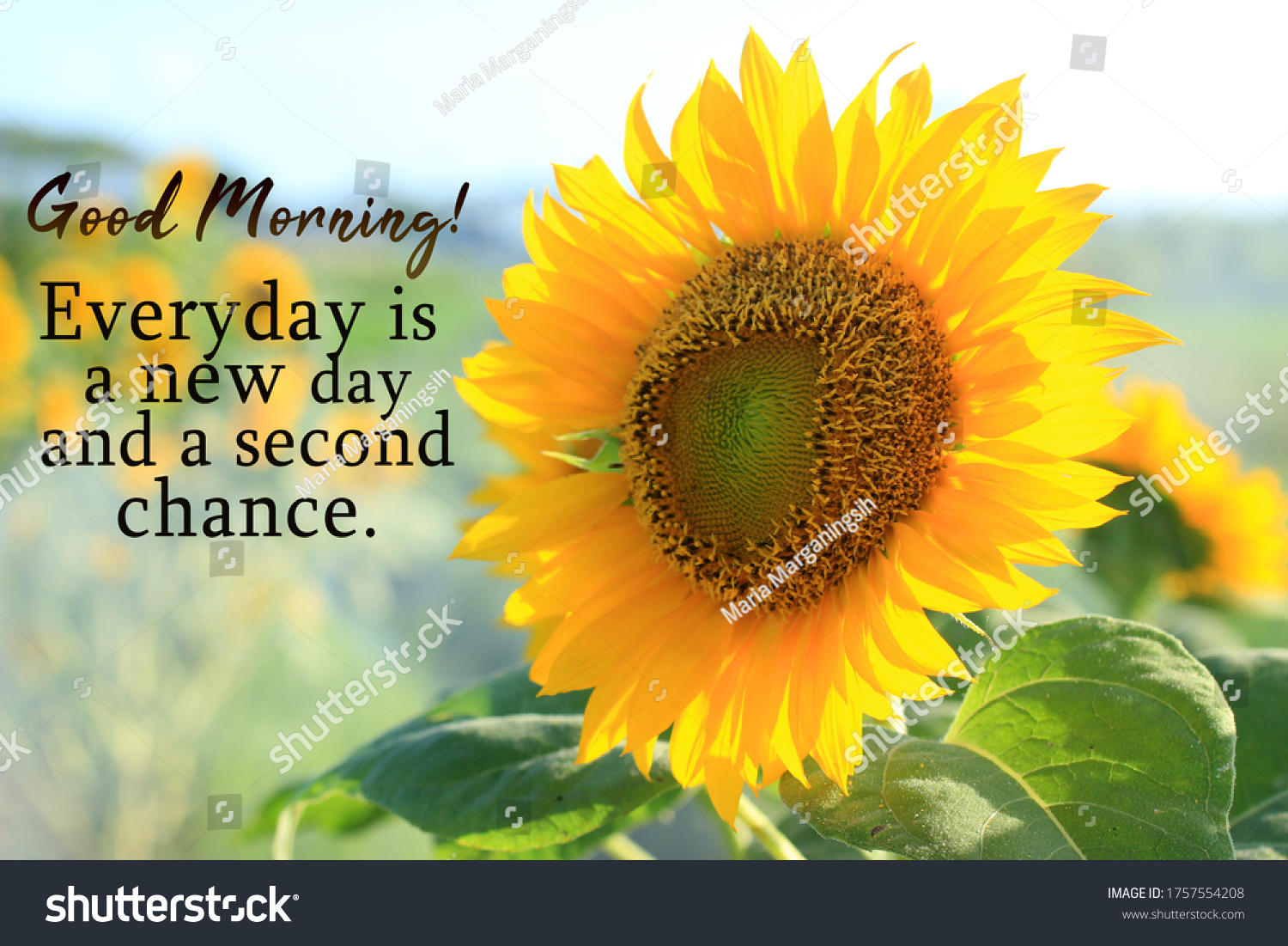 447,619 Bright new day Images, Stock Photos & Vectors | Shutterstock