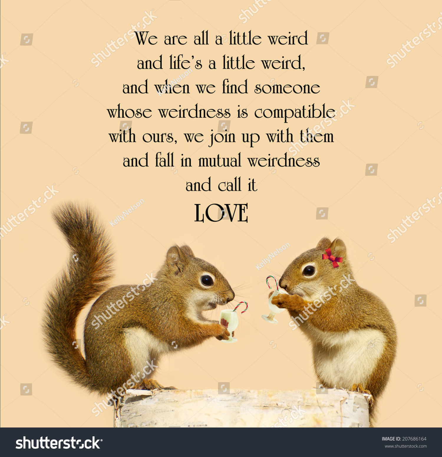Inspirational quote on love by Dr Suess with a cute pair of squirrels in love