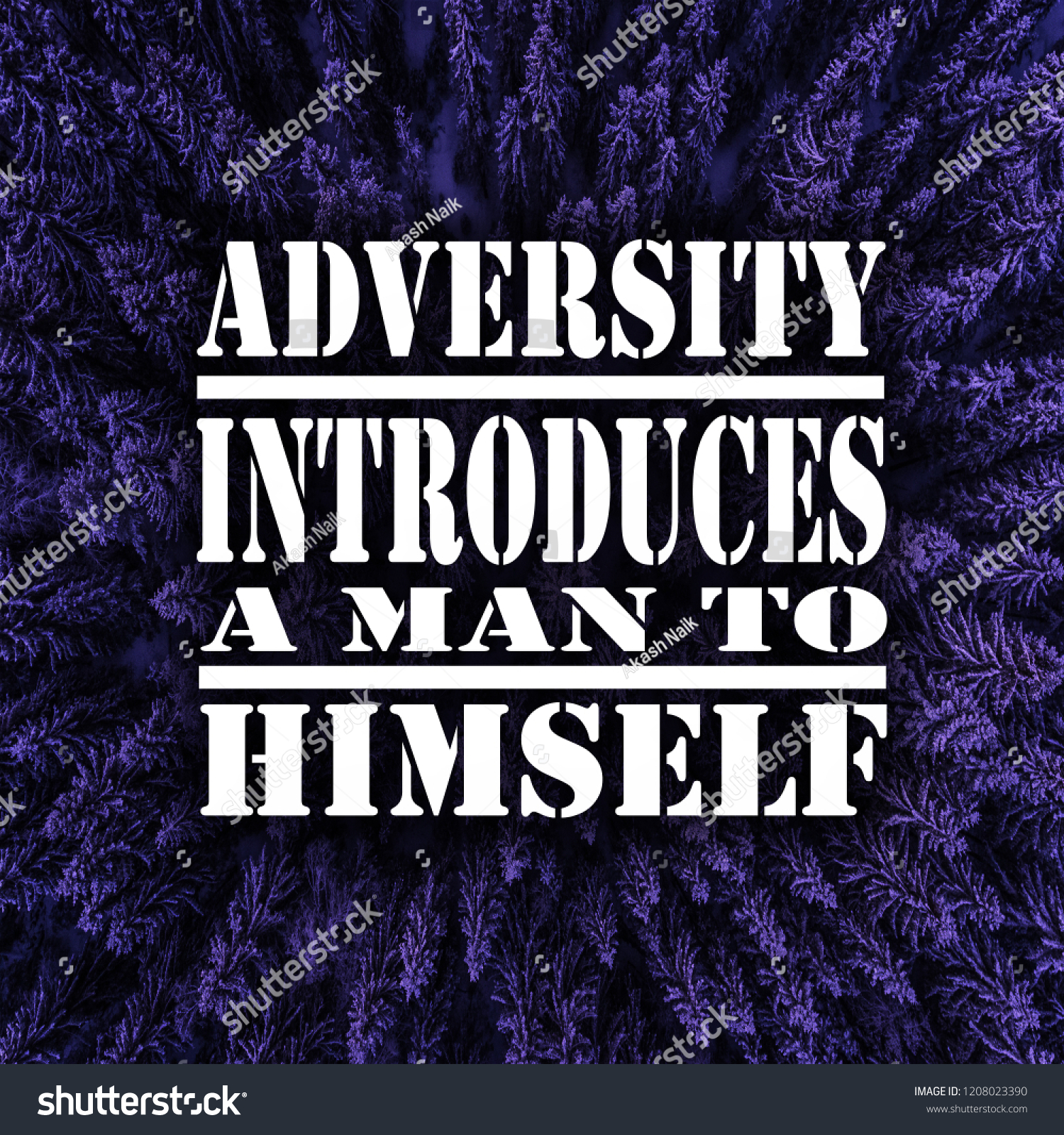 Inspirational Quotes Adversity Introduces Man Himself Stock Photo