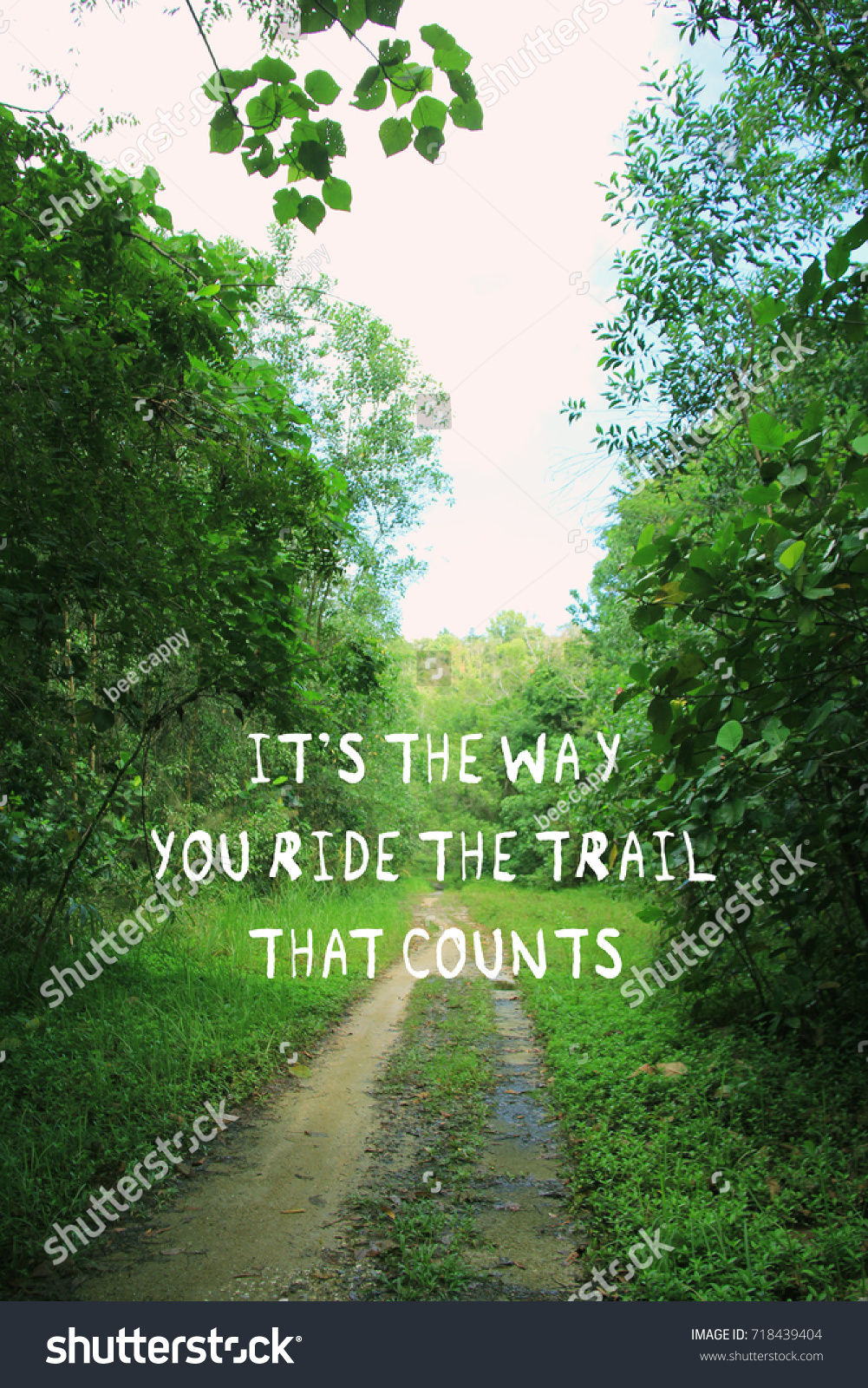 Inspirational Quotes On Forest Trail Stock Photo Edit Now