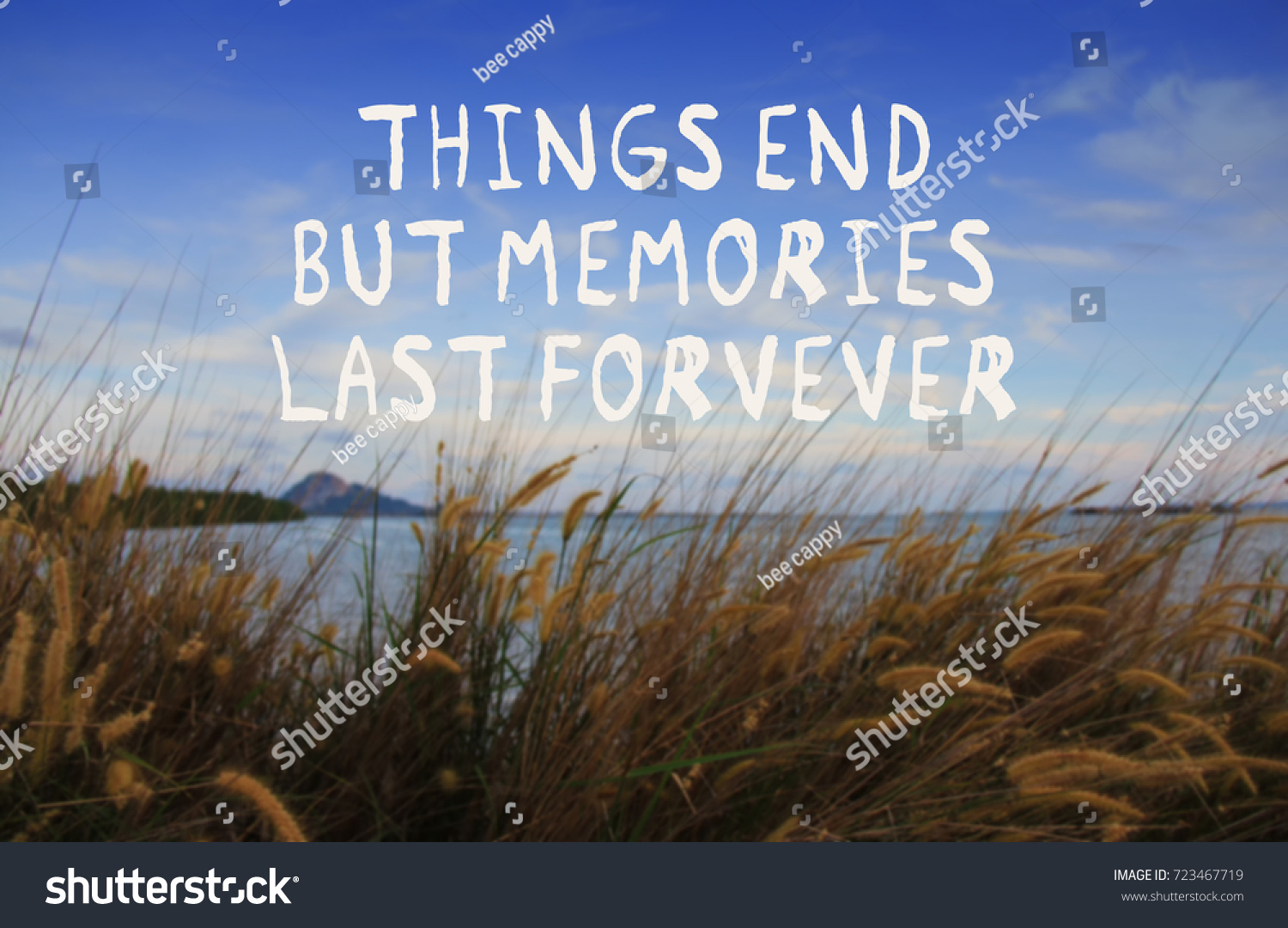 inspirational-quotes-things-end-memories-last-nh-c-s-n723467719