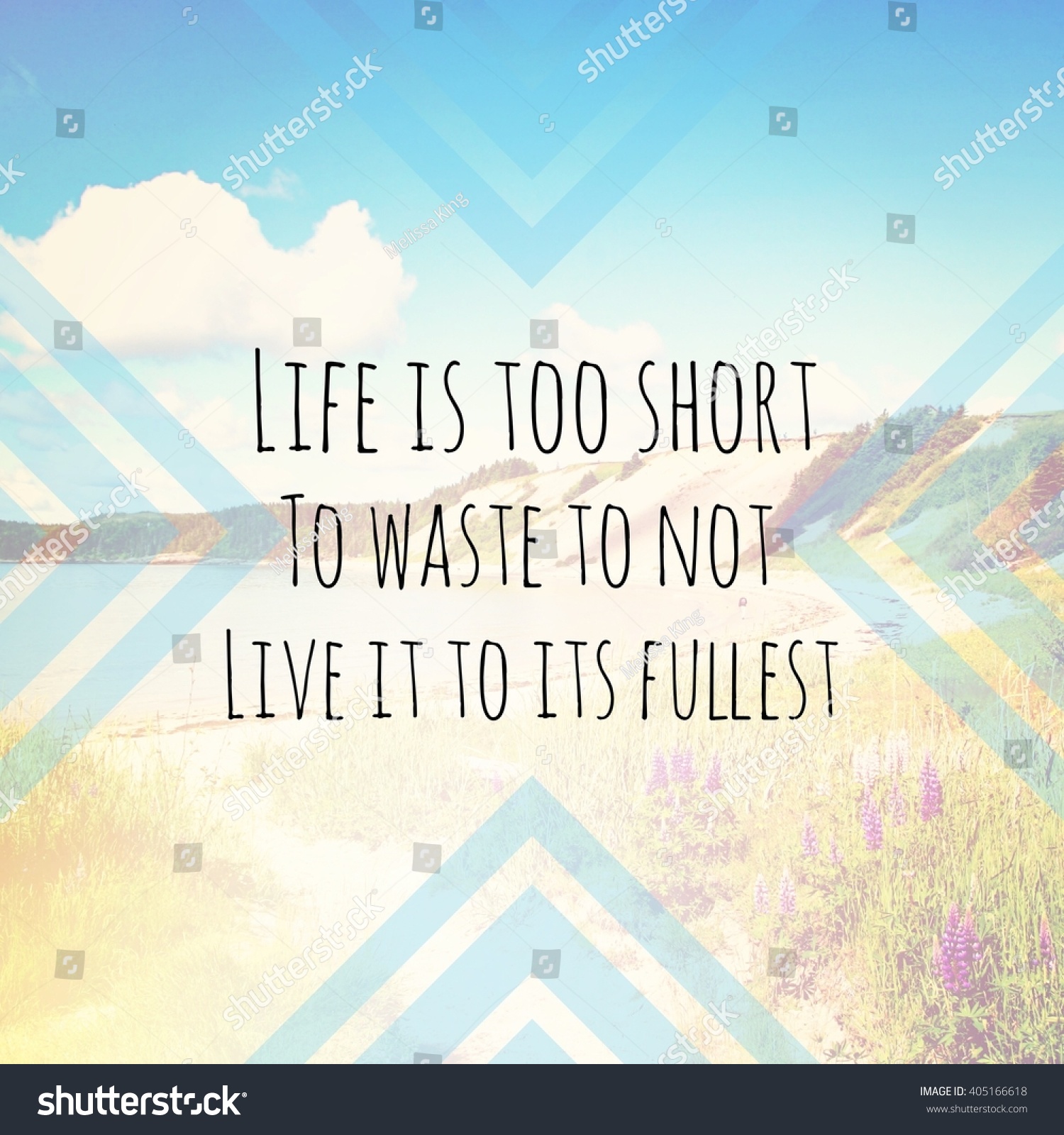 Inspirational Typographic Quote Life is too short to waste to not live it to its