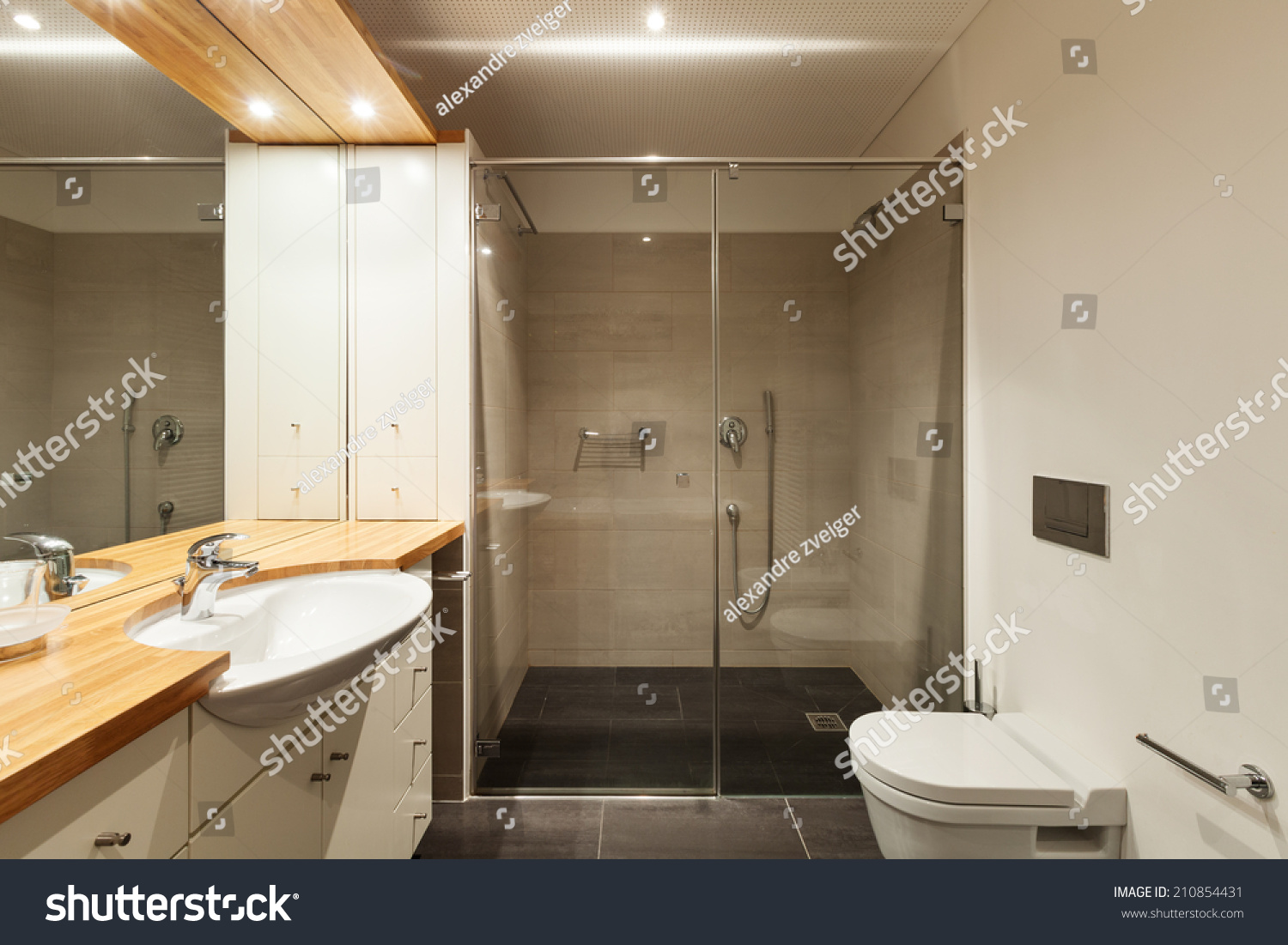 Interior Modern House Beautiful Bathroom Stock Photo (Edit Now) 210854431